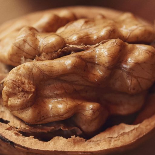 A single walnut sitting in the bottom half of the shell.