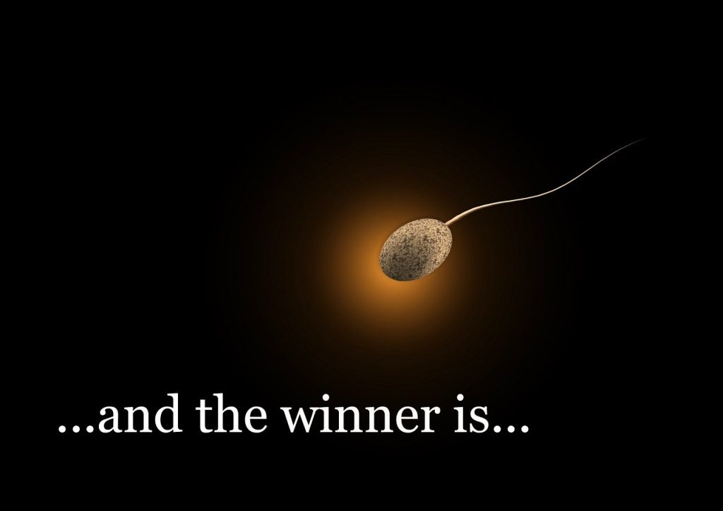 A sperm is featured as the winning sperm